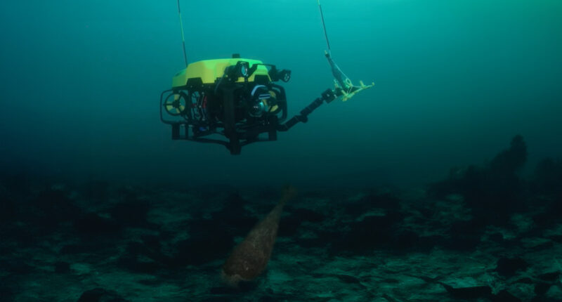 R7 Remotely Operated Vehicle